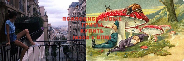 стаф Алексеевка