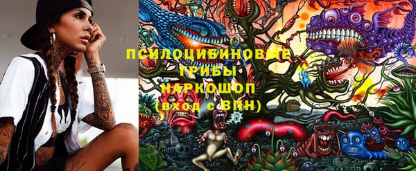 стаф Алексеевка
