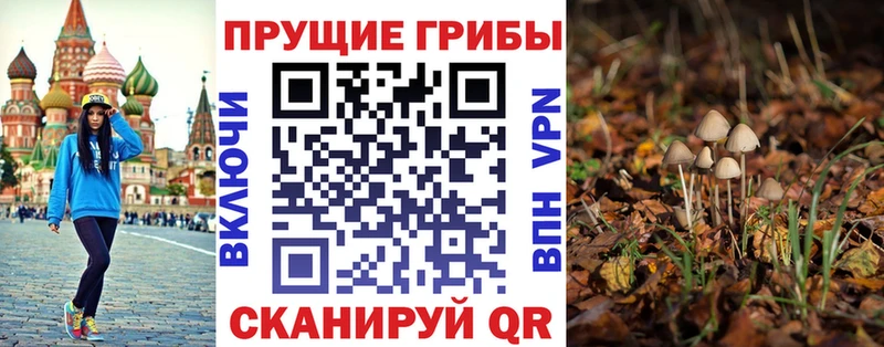 Псилоцибиновые грибы прущие грибы  Солигалич 