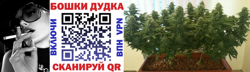 Канабис сатива  где купить наркотик  Солигалич 